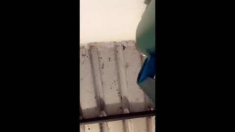 reinft online show from 1, 3, 2026