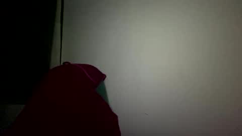 Snapshot of renee_loah chatting on 26, 9, 2025 renee_loah online show from 26, 9, 2025
