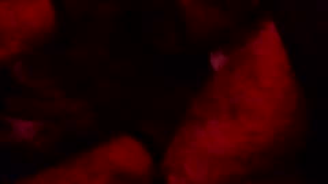 Snapshot of renuetto chatting on 13, 10, 2025 renuetto online show from 13, 10, 2025