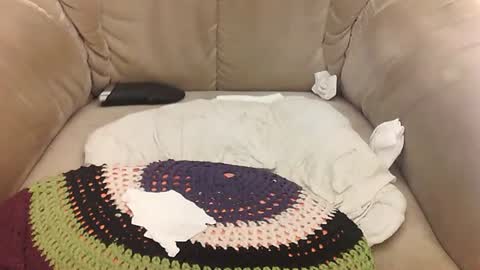 Mark online show from 11, 4, 2026