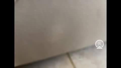 Snapshot of rgoggler2 chatting on 28, 1, 2025 rgoggler2 online show from 28, 1, 2025