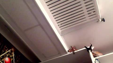 RICK DAYDREAM online show from 16, 3, 2026