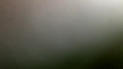 rimzari136 online show from 4, 4, 2026