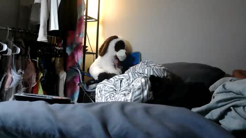 Snapshot of riversaint chatting on 11, 3, 2025 River Saint online show from 11, 3, 2025