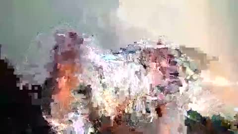 rlessing2 online show from 1, 4, 2026