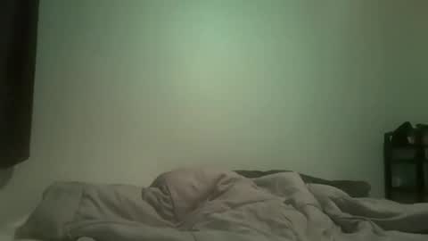 BwC4Breed online show from 5, 12, 2024