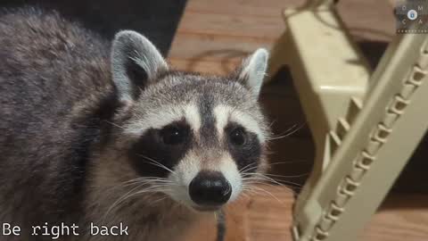 Snapshot of rndmzd chatting on 5, 2, 2025 Ryan aka KeylimeRy online show from 5, 2, 2025