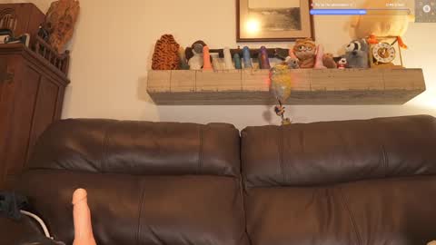 Snapshot of rndmzd chatting on 14, 2, 2025 Ryan aka KeylimeRy online show from 14, 2, 2025