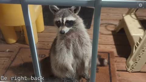 Snapshot of rndmzd chatting on 28, 2, 2025 Ryan aka KeylimeRy online show from 28, 2, 2025