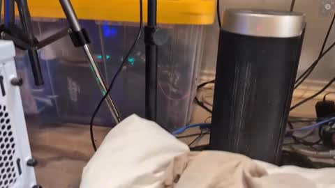 Snapshot of rndmzd chatting on 11, 3, 2025 Ryan aka KeylimeRy online show from 11, 3, 2025