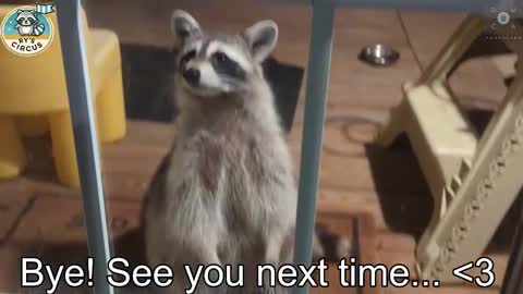 Snapshot of rndmzd chatting on 24, 10, 2025 Ryan aka KeylimeRy online show from 24, 10, 2025