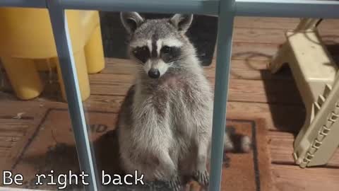 Snapshot of rndmzd chatting on 4, 12, 2025 Ryan aka KeylimeRy online show from 4, 12, 2025