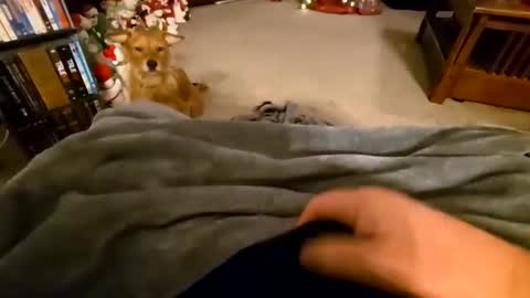 robbiebob6828 online show from 9, 1, 2026