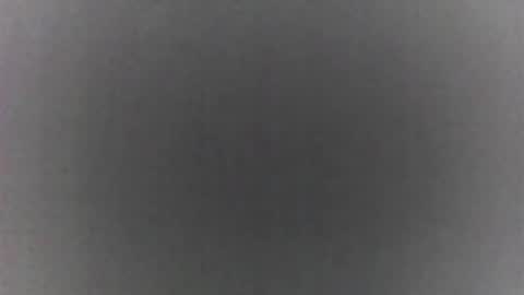 Snapshot of roberttocumcum chatting on 19, 2, 2026 roberttocumcum online show from 19, 2, 2026