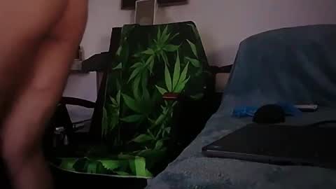 Zenek online show from 1, 2, 2026