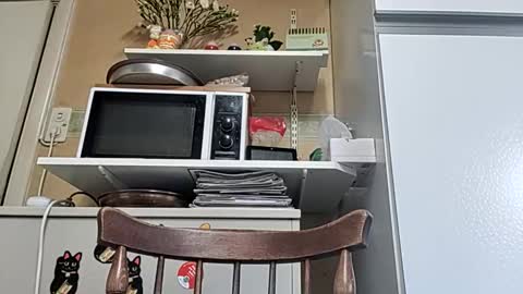 robke1966 online show from 6, 4, 2026