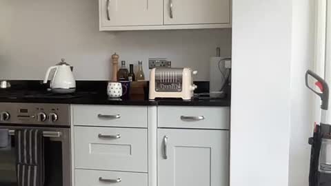 Robs sensuous cam for discerning ladies online show from 12, 9, 2025