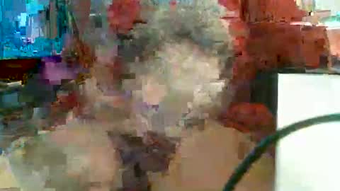 Rocco  aka DaddyRoc online show from 11, 2, 2026