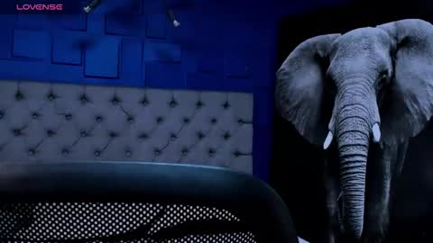 rocco_santos online show from 14, 9, 2025