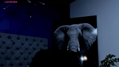 rocco_santos online show from 17, 9, 2025