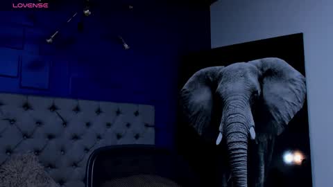 rocco_santos online show from 21, 9, 2025