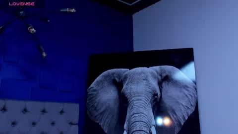 rocco_santos online show from 27, 9, 2025