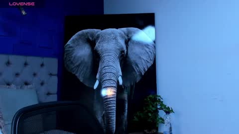 rocco_santos online show from 28, 9, 2025