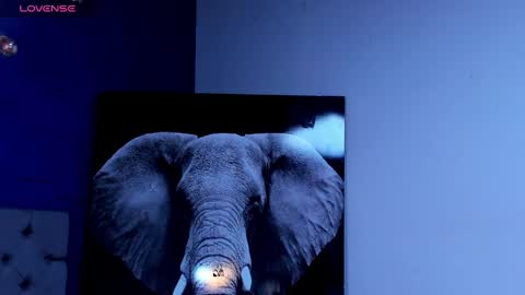 rocco_santos online show from 4, 10, 2025