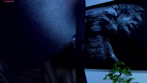 Snapshot of roccosaints_1 chatting on 25, 2, 2026 santos online show from 25, 2, 2026