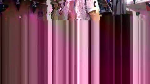 rod77knee online show from 26, 9, 2025