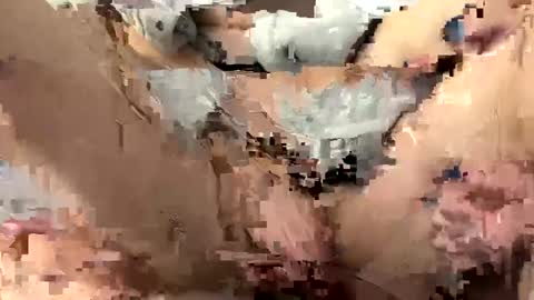 Snapshot of roidrager44 chatting on 6, 3, 2025 roidrager44 online show from 6, 3, 2025