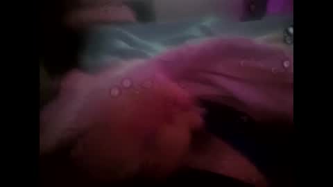 rollino83 online show from 24, 10, 2025