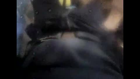 rollino83 online show from 6, 11, 2025