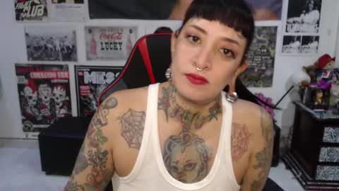 Rolly online show from 8, 1, 2026