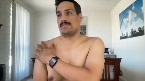 romancubbear online show from 14, 4, 2026