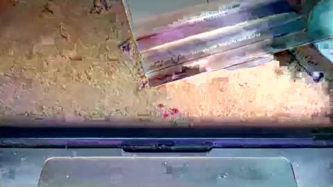 romeo9000x online show from 6, 1, 2026