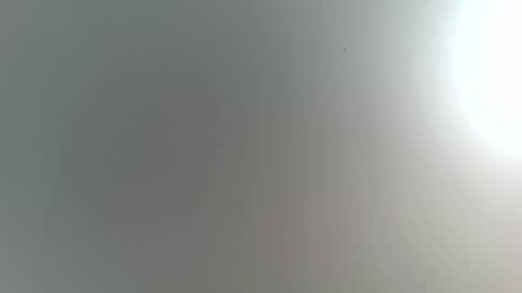 Trinked online show from 27, 2, 2026