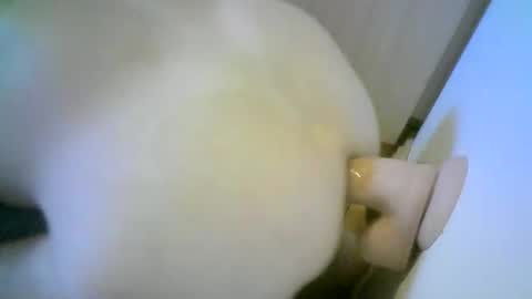 Snapshot of romson998181 chatting on 1, 11, 2025 romson998181 online show from 1, 11, 2025