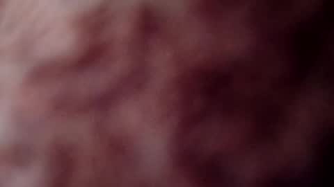 rose12161216 online show from 3, 11, 2025