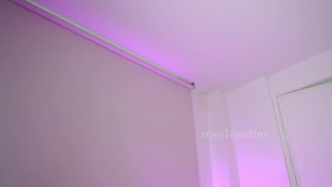 Snapshot of roselinedior chatting on 4, 2, 2026 Lyla OF roselinedior online show from 4, 2, 2026