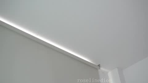 Snapshot of roselinedior chatting on 8, 2, 2026 Lyla OF roselinedior online show from 8, 2, 2026