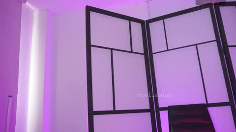 Snapshot of roselinedior chatting on 18, 2, 2026 Lyla OF roselinedior online show from 18, 2, 2026