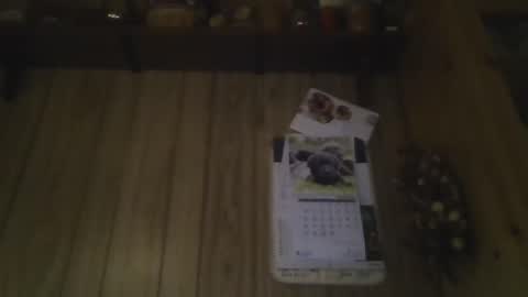 Snapshot of roses2u1958 chatting on 1, 1, 2025 roses2u1958 online show from 1, 1, 2025