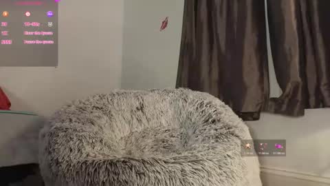 Rose   online show from 13, 4, 2026