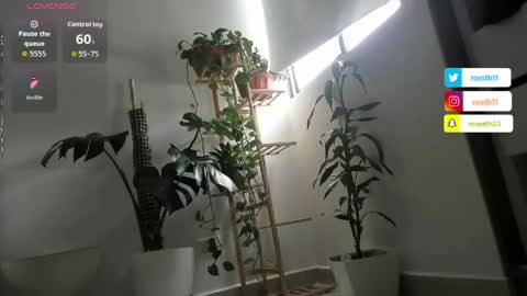 Im Ross   online show from 5, 4, 2026