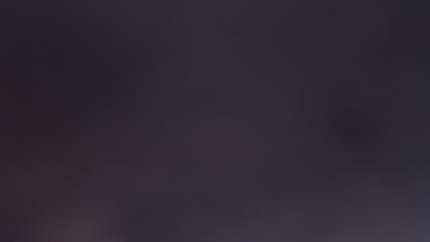 roy77xxx online show from 28, 2, 2026