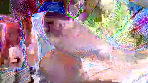 royalmuse online show from 19, 1, 2026