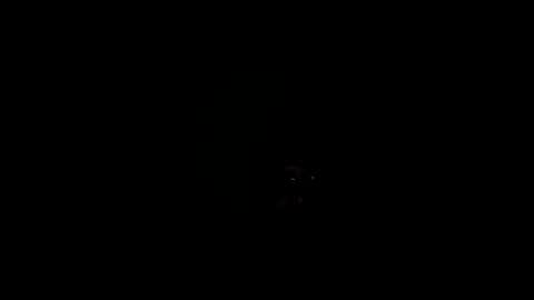 Snapshot of royce888 chatting on 16, 11, 2025 royce888 online show from 16, 11, 2025