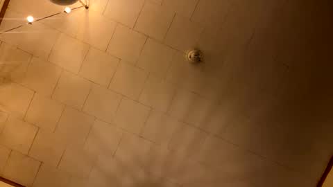 rp131313 online show from 10, 1, 2026