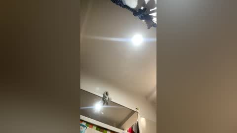 Rubi online show from 8, 3, 2026